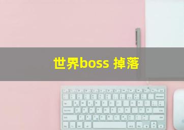 世界boss 掉落